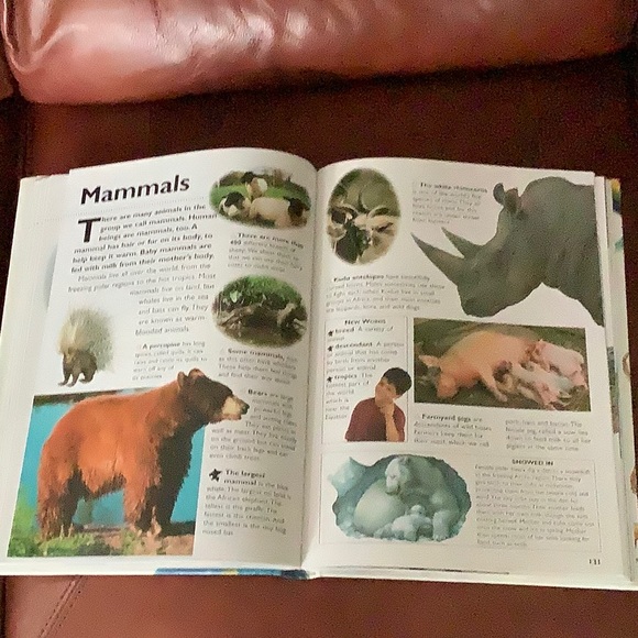 Children’s First Encyclopedia Book - Picture 6 of 8